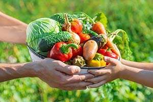 🍅 Fresh Picks: What Georgia Gardeners Should Be Harvesting in July 🌞