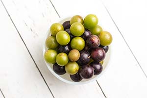 🍇 September Fruit Gardening in Georgia: Muscadines, Fall Crops & Prep for a Bountiful Season 🌱